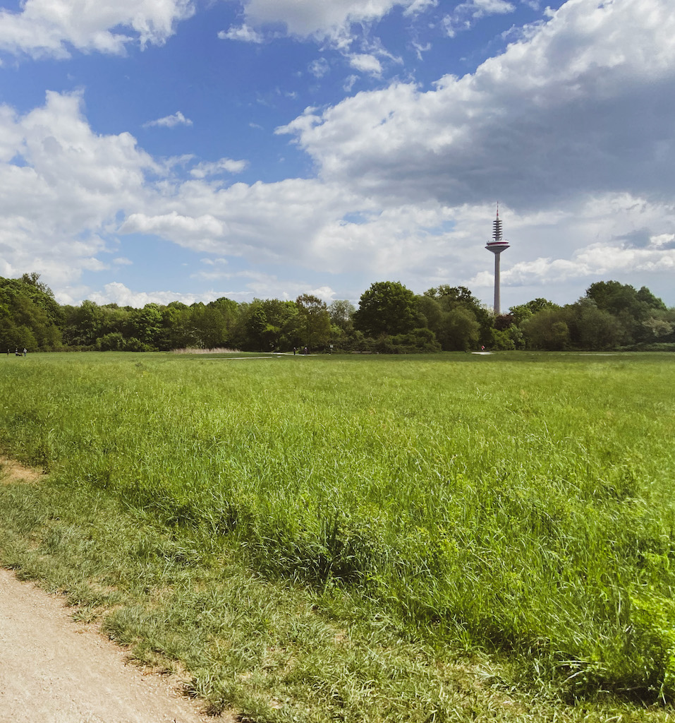 10 Free Things to Do in Frankfurt