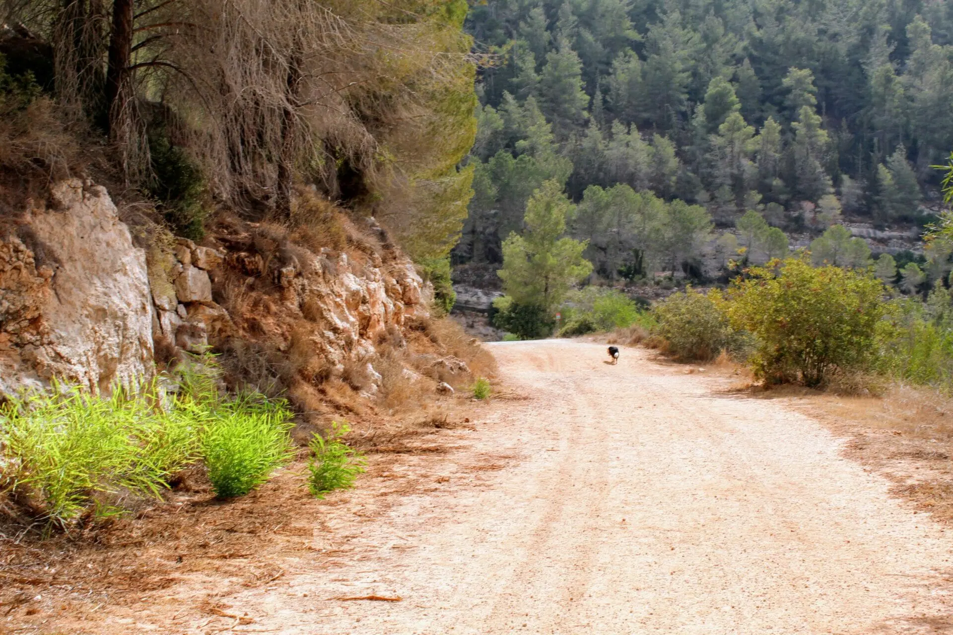5 hikes to do in Jerusalem