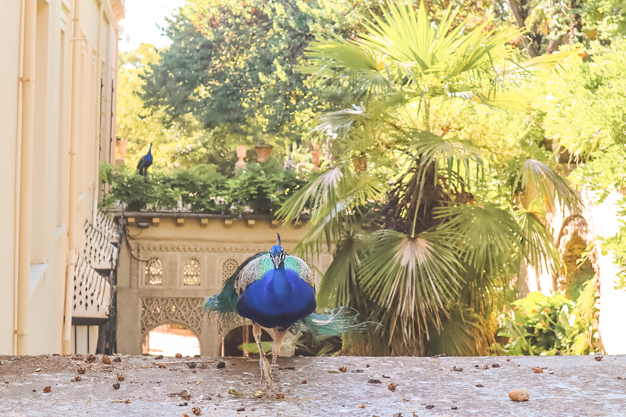 5 Alternative Things to Do in Granada - Carmen y Campo de los Martyres