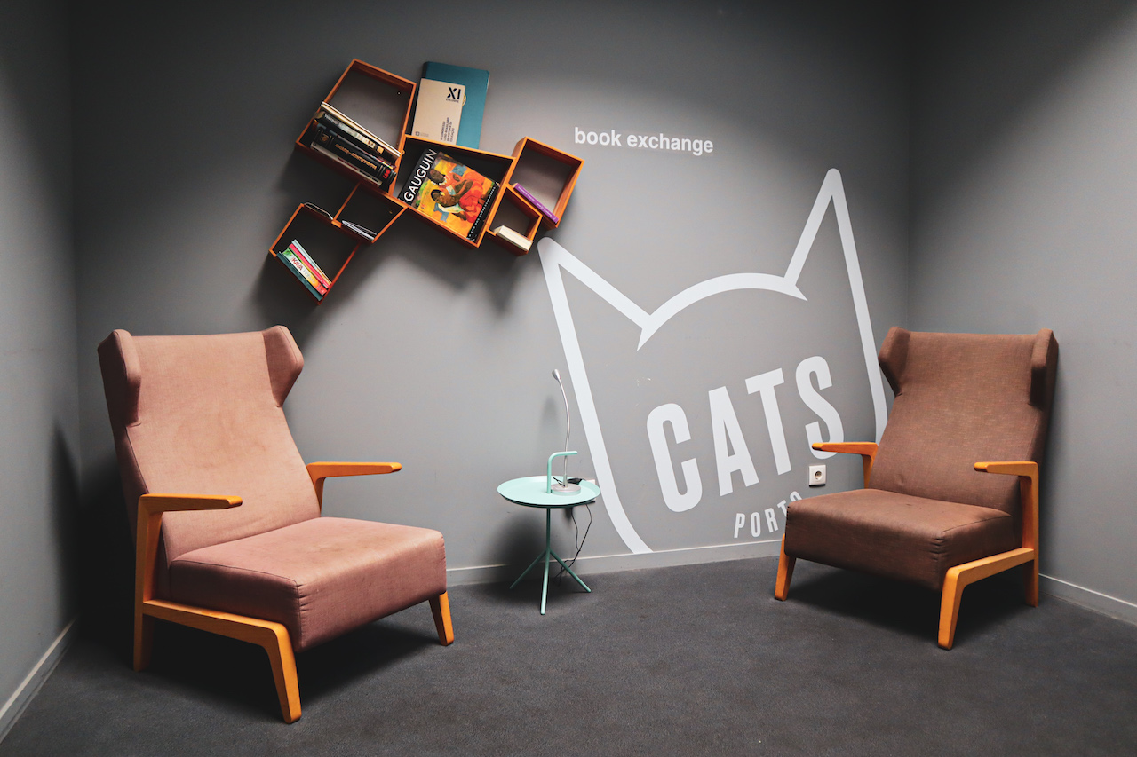 Cats Hostel in Porto, Portugal 