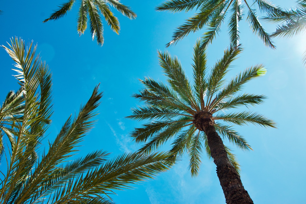 Best Beaches in Spain: Valencia, Málaga, and Barcelona