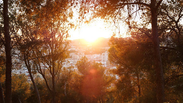 Top things to see in Malaga