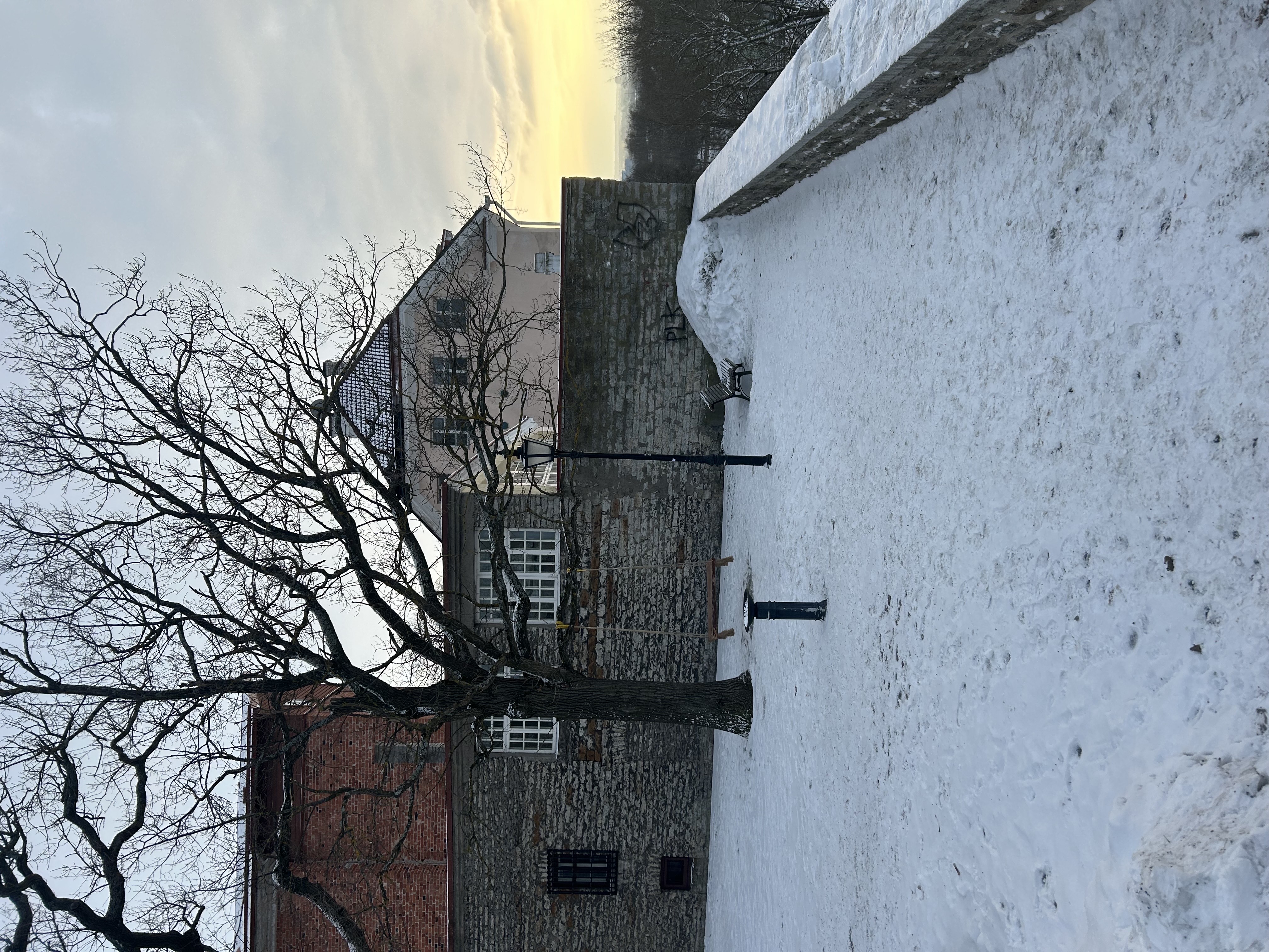 Mink shares his Eurail story: dislocating his arm in snowy Tallinn 