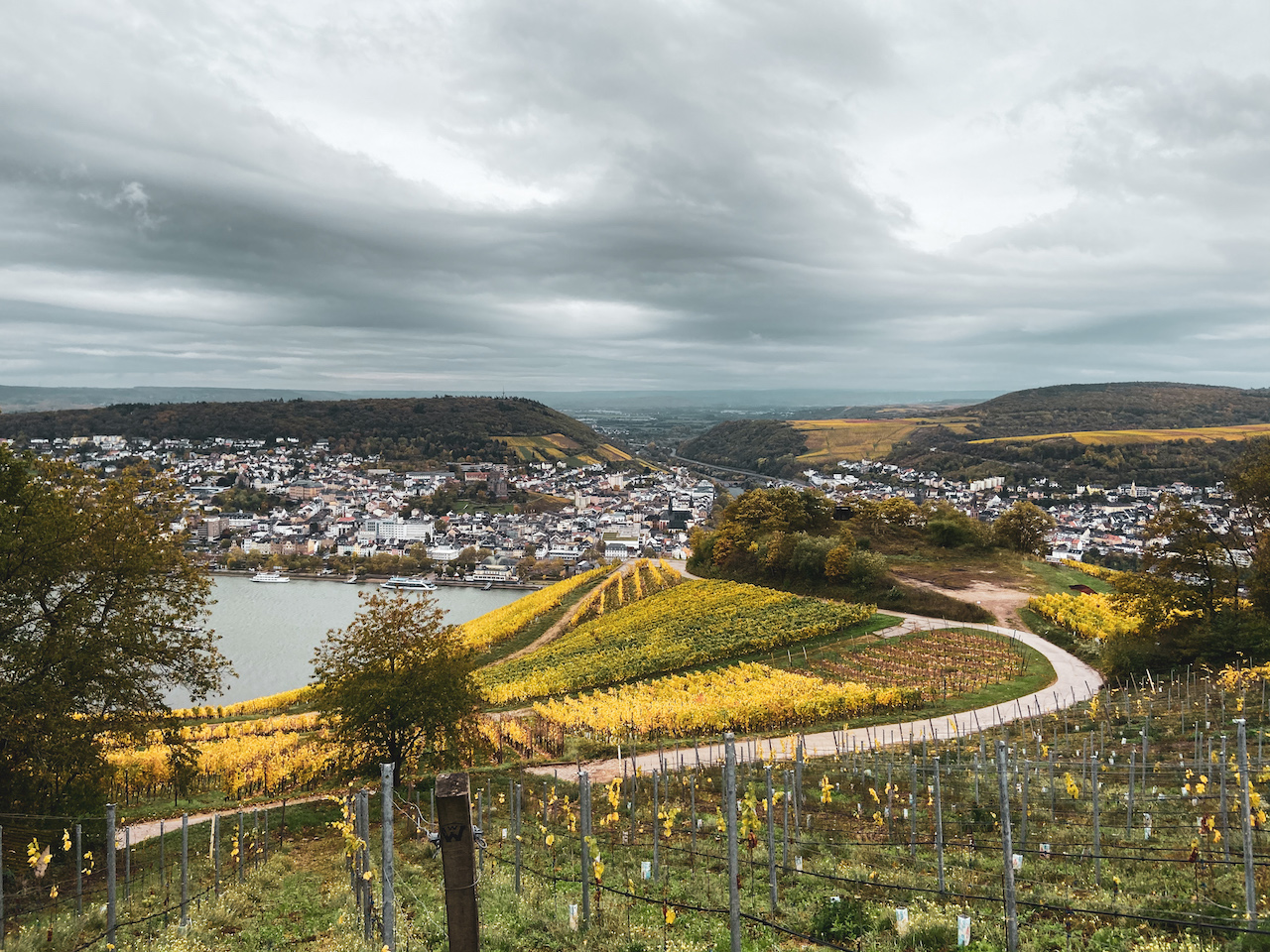 Rüdesheim am Main. A great day trip from Frankfurt