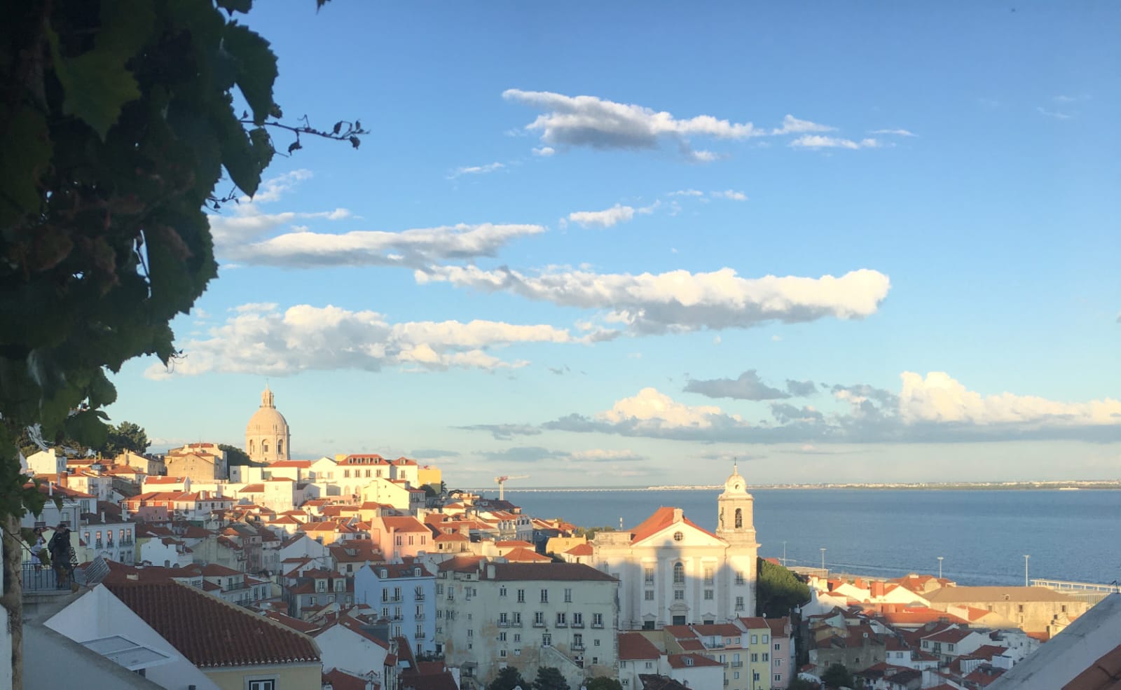 interrail vegan lisbon