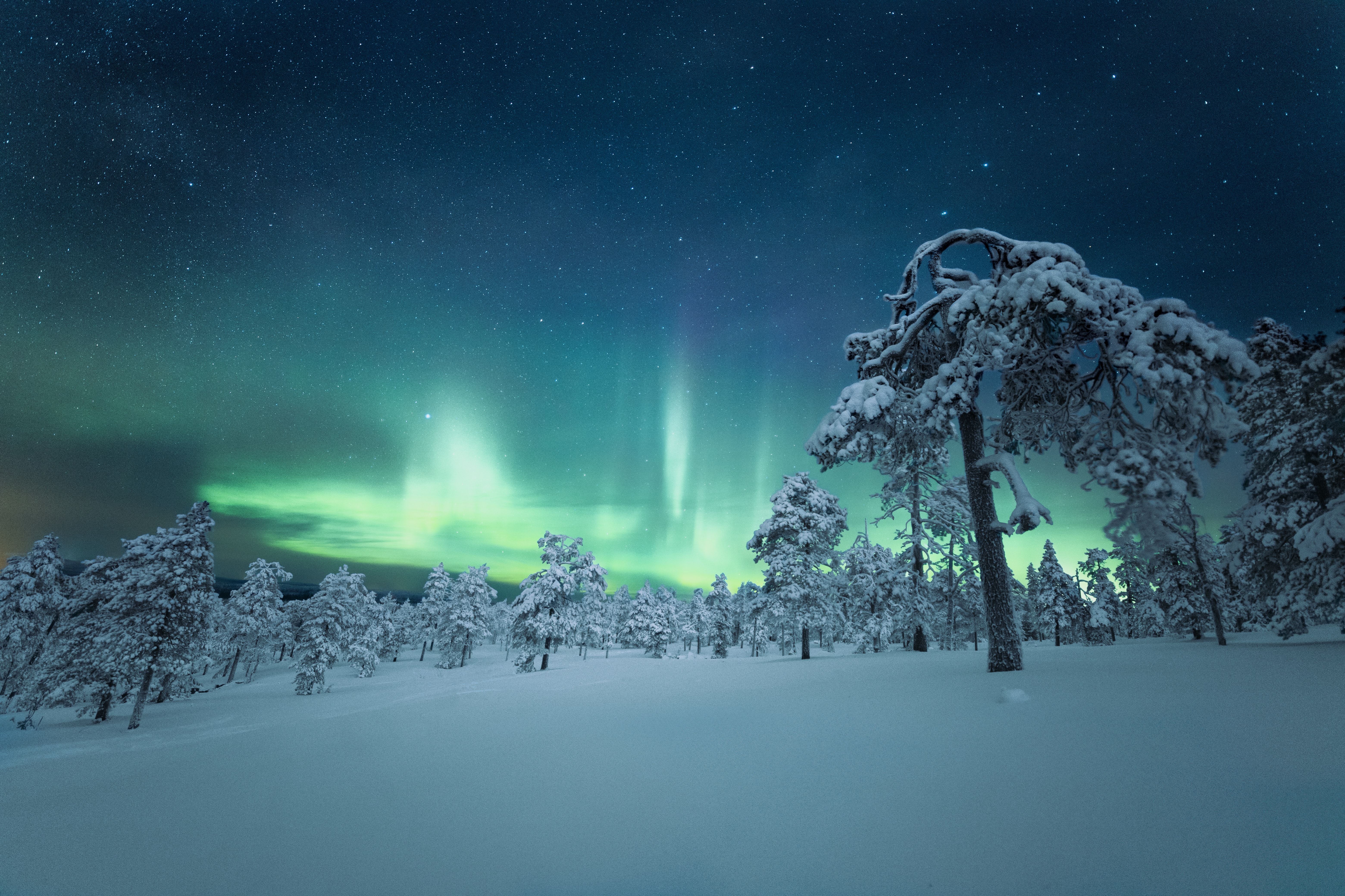 interrail vegan finland