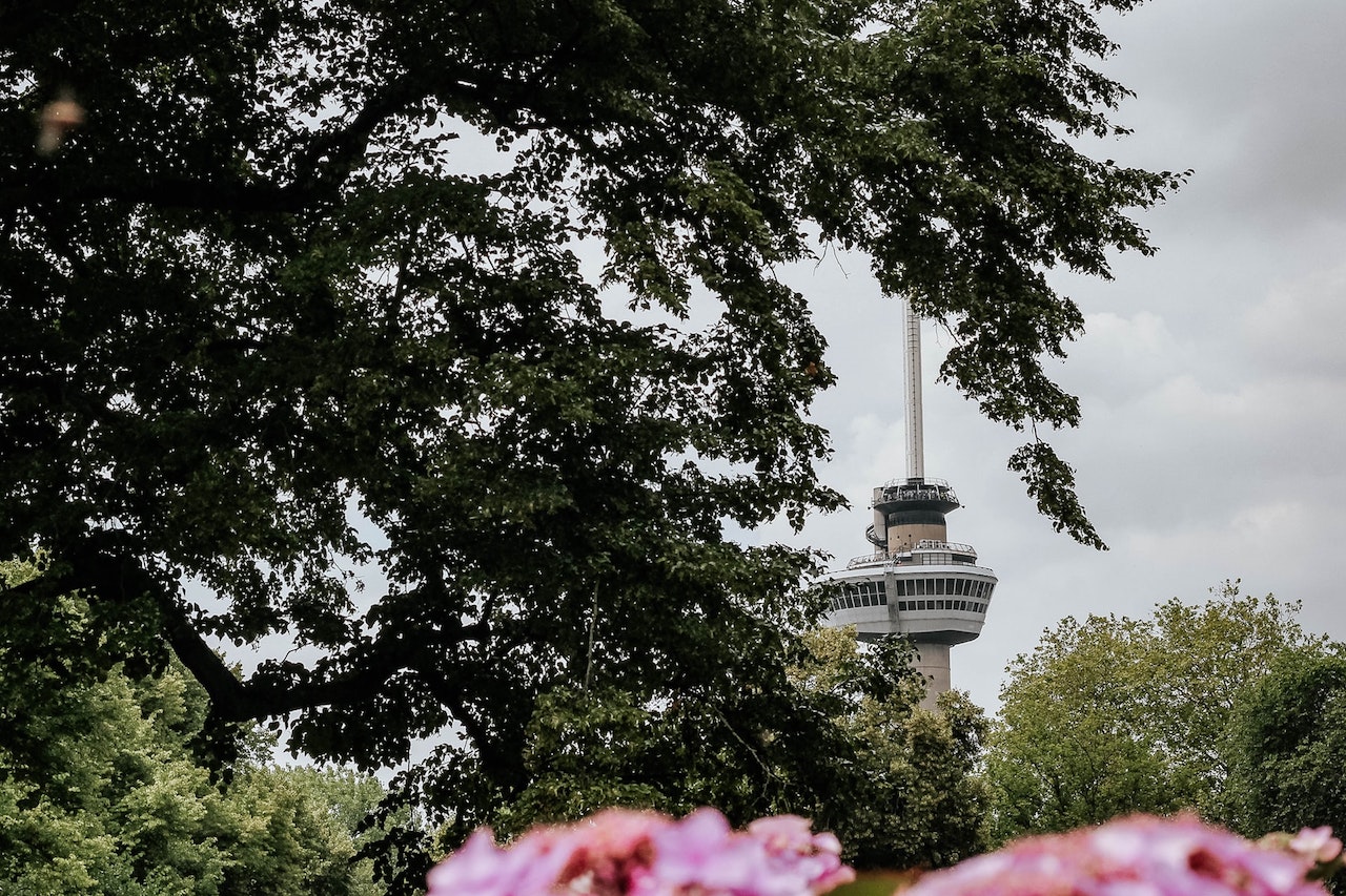 Photo by Micheile Henderson on Unsplash