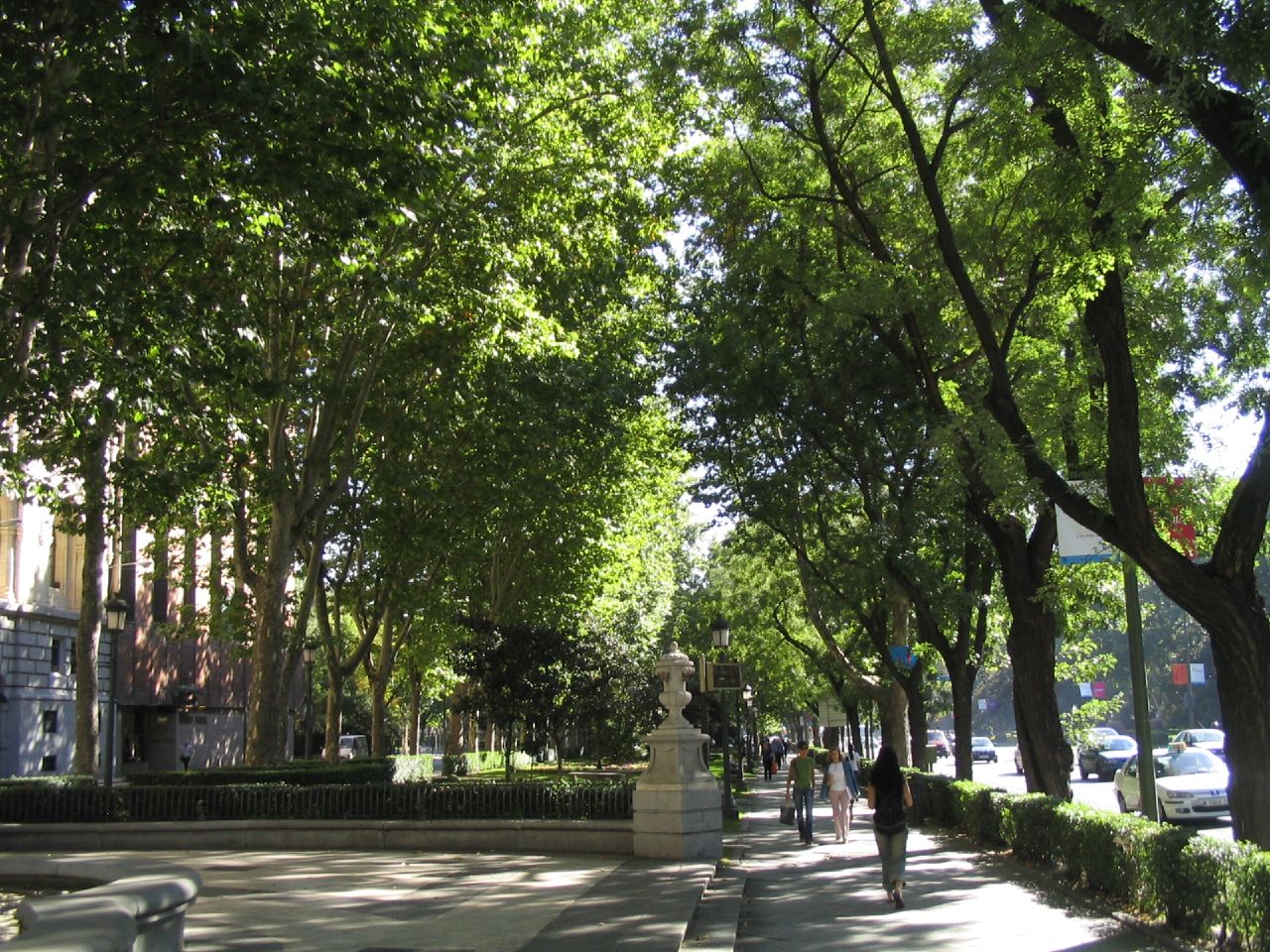 Discover Madrid