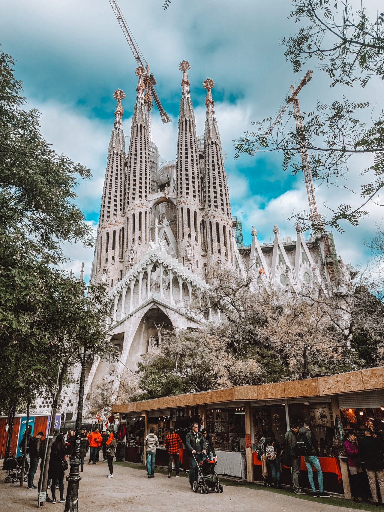 Photo by Luis Henrique from Pexels