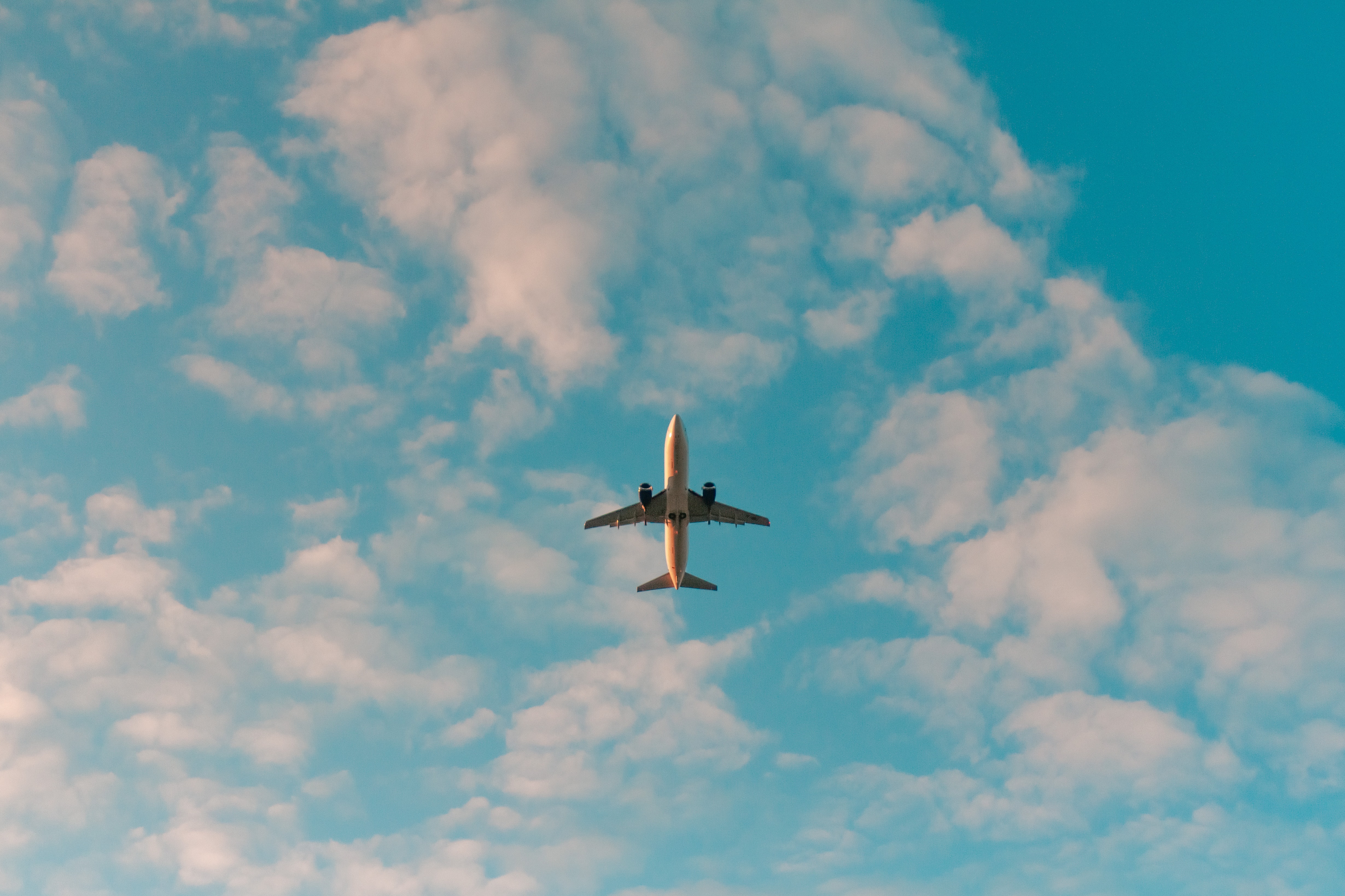 Mental Health and Mobility after the Pandemic