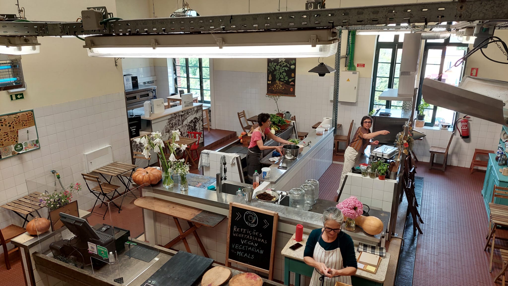 small businesses and activists fighting climate change
