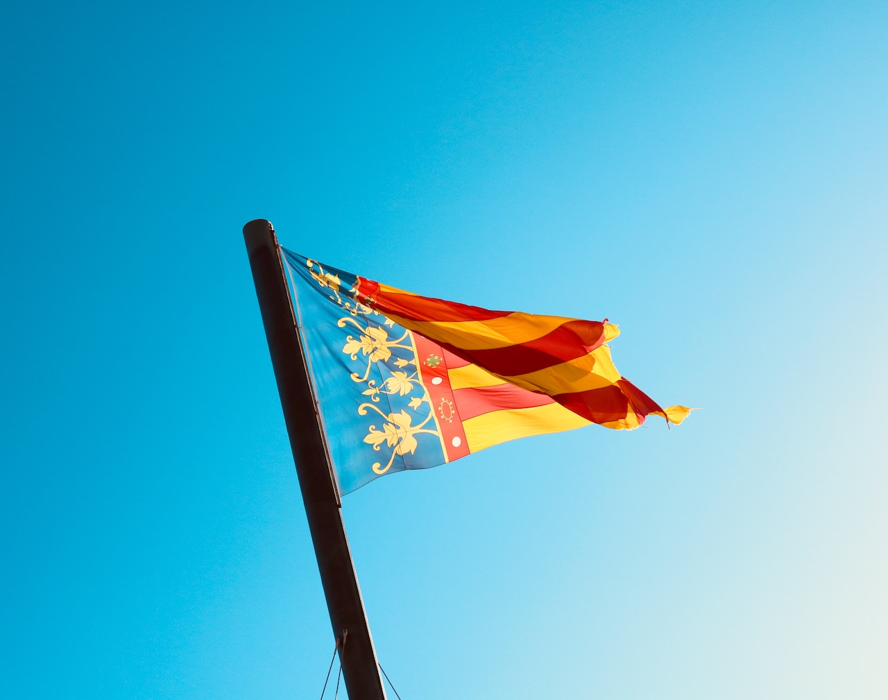 Top 7 Things to Do in Valencia
