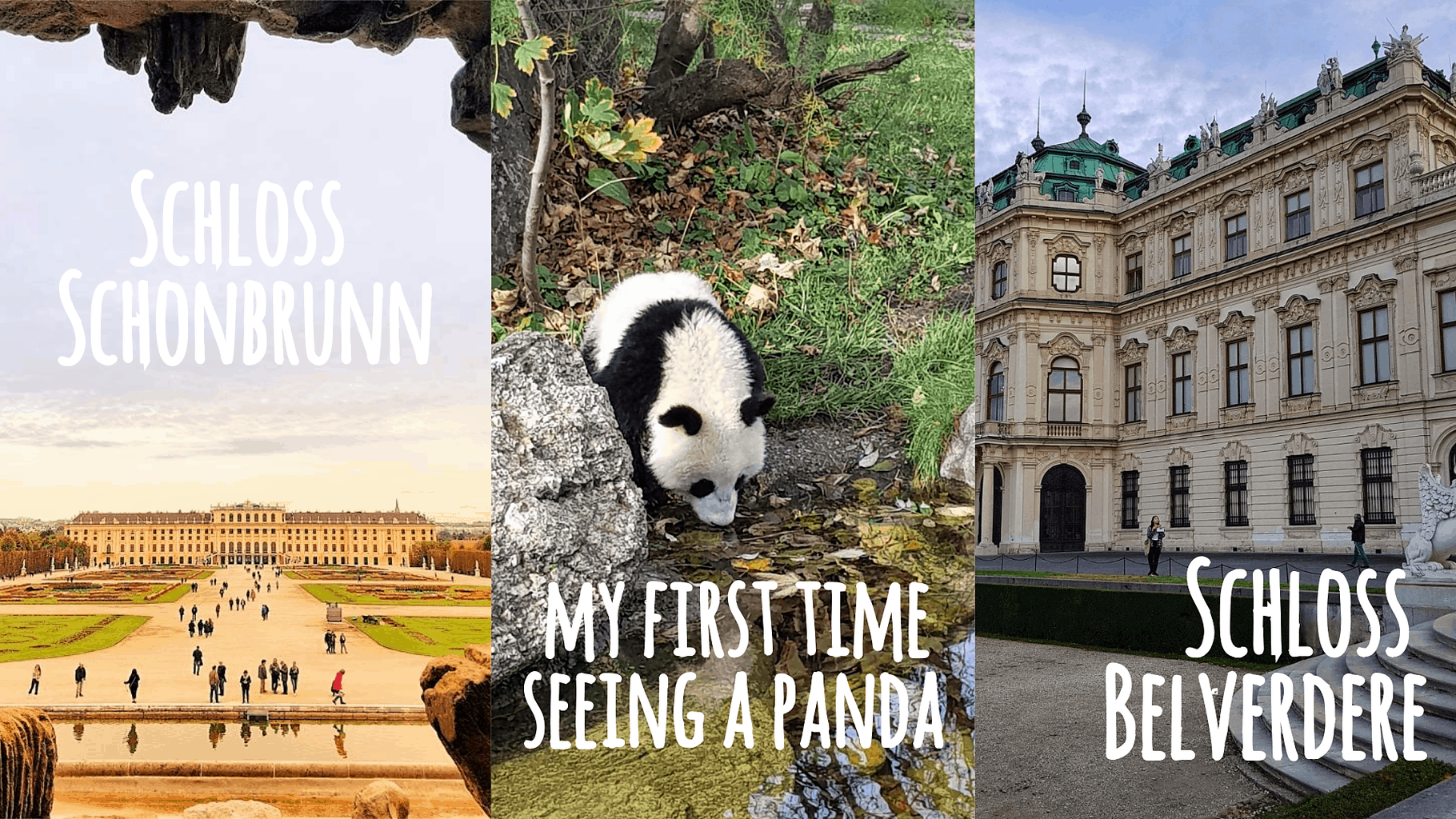 Famous Hostels Eurotrip: Vienna